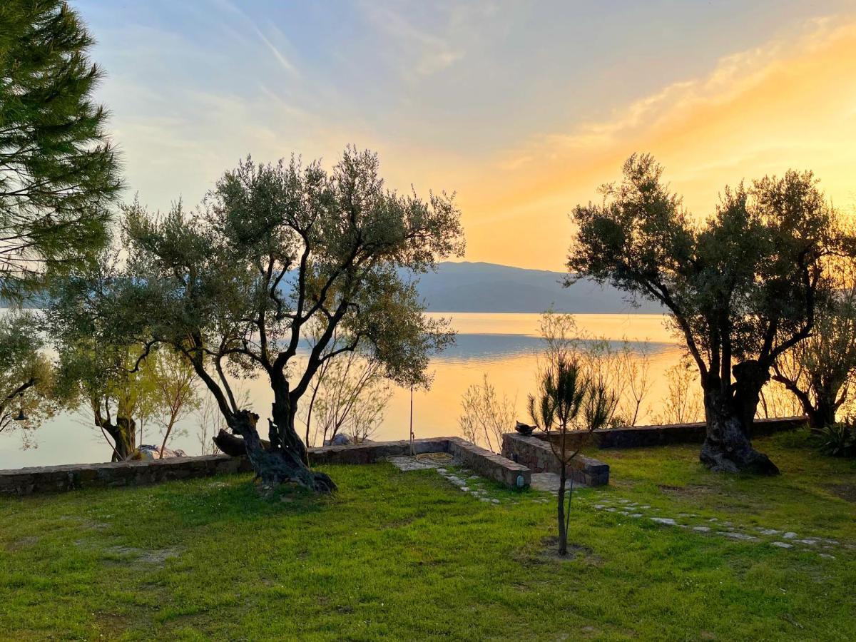 Вилла Seafront Traditional Stone House In Sunset Olive Grove - B Alyfanta Экстерьер фото