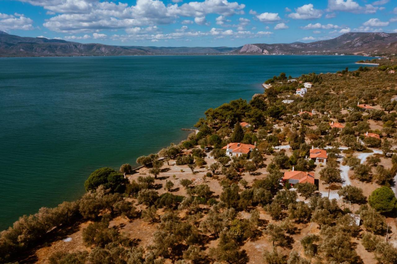 Вилла Seafront Traditional Stone House In Sunset Olive Grove - B Alyfanta Экстерьер фото