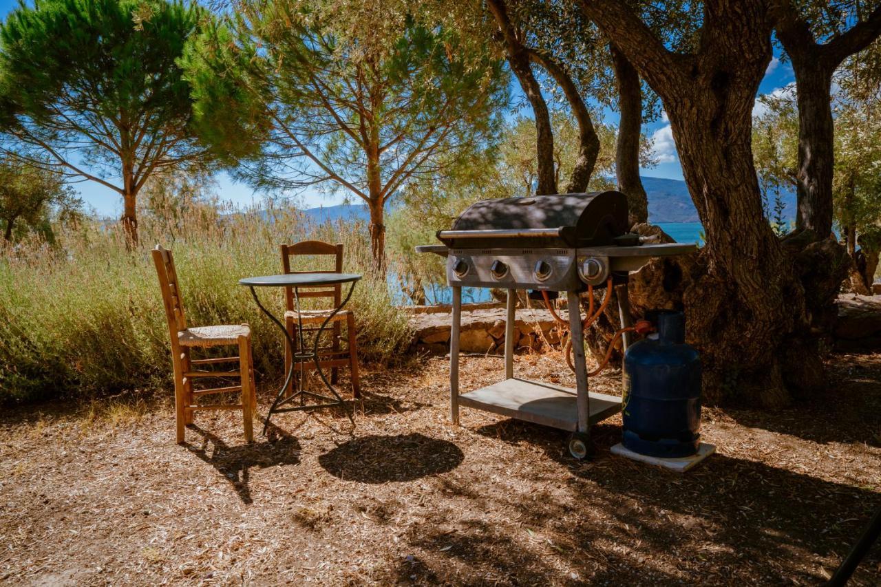 Вилла Seafront Traditional Stone House In Sunset Olive Grove - B Alyfanta Экстерьер фото